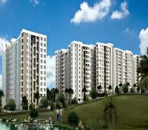 2 BHK Apartment For Resale in GLS Arawali Homes Sohna Sector 4 Gurgaon 5531721