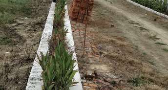  Plot For Resale in Faizabad Road Lucknow 5533942
