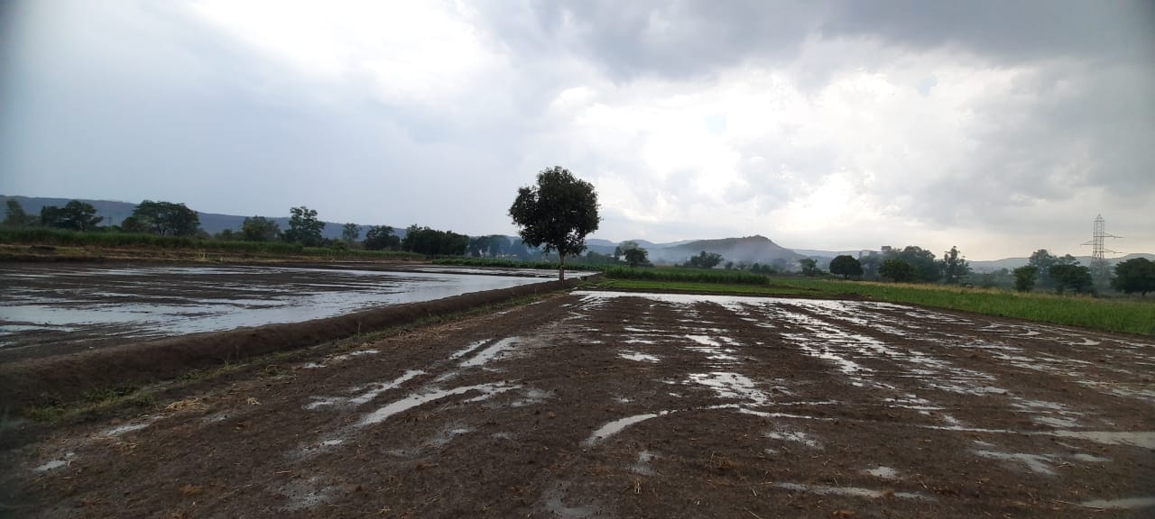 Resale 1000 Sq.Ft. Plot in Baner Pune 5536371