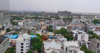 Plot For Resale in Sai Kunj New Palam  vihar New Palam Vihar Phase 3 Gurgaon 5538407