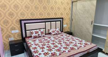 1 BHK Apartment For Resale in Kharar Banur Highway Mohali 5540320