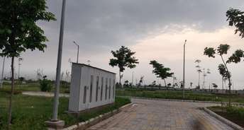  Plot For Resale in Panchkula Extension Chandigarh 5540401