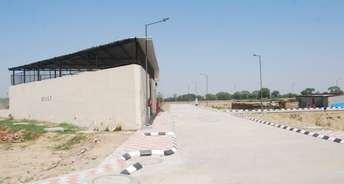  Plot For Resale in Sector 97 Faridabad 5541040