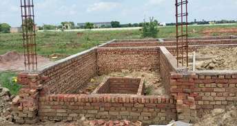  Plot For Resale in Bamnikhera Palwal 5541082
