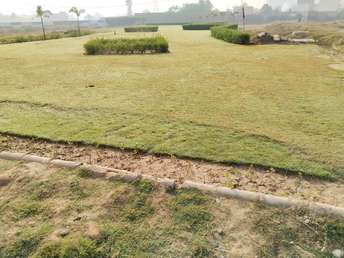 Plot For Resale in NH 22 Chandigarh 5541309