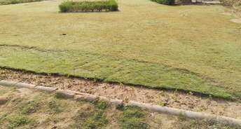  Plot For Resale in NH 22 Chandigarh 5541309