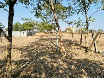 Plot For Resale in Paud Pune 5543138