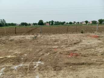  Plot For Resale in Kail Gaon Faridabad 5543253