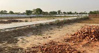  Plot For Resale in Sector 12 Greater Noida 5544695