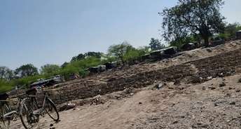  Plot For Resale in Sector 14 Hisar 5544731