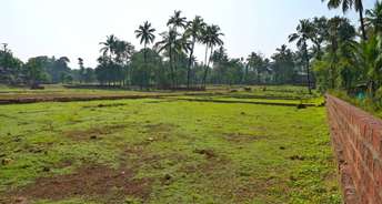 Commercial Industrial Plot 75000 Sq.Yd. For Resale In Bhandup West Mumbai 5546801