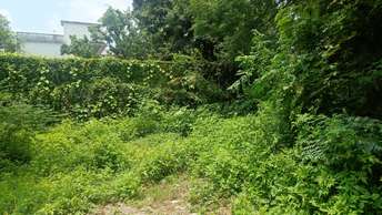  Plot For Resale in East Canal Road Dehradun 5550466