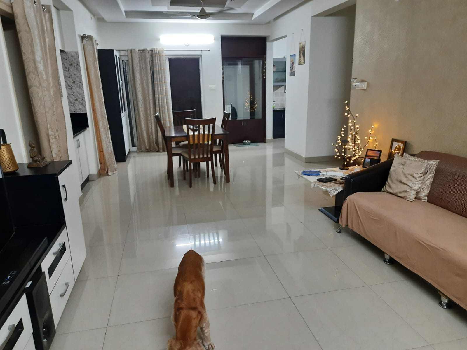 Rental 2 Bedroom 1314 Sq.Ft. Apartment in My Home Avatar, Gachibowli  Hyderabad - 5886253