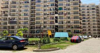 2 BHK Apartment For Resale in AVL 36 Gurgaon Sector 36 Gurgaon 5554092