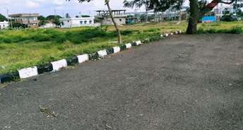  Plot For Resale in Mulug Hyderabad 5554976