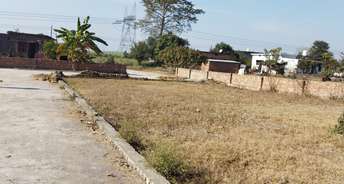  Plot For Resale in Sector 46 Gurgaon 5555252