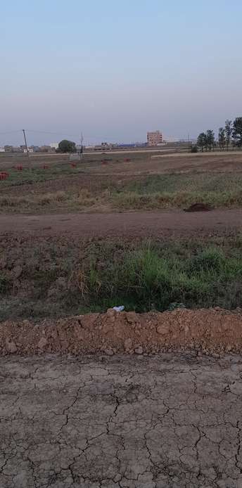  Plot For Resale in Painal Patna 5557085