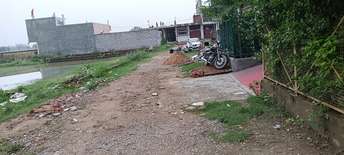 Plot For Resale in Amar Shaheed Path Lucknow 5557714