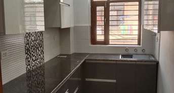 2 BHK Apartment For Resale in Faridabad New Town Faridabad 5557728