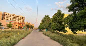  Plot For Resale in Ayodhya Bypass Road Bhopal 5560240