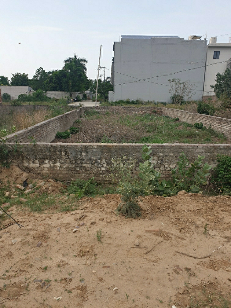 Resale 900 Sq.Ft. Plot in Shaheed Bhagat Singh Nagar Ludhiana - 6060032