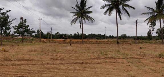 Land On Rent Rental Commercial Land 76780 Sq.Ft. in Kolar Road Bangalore - 5562097