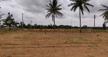 Commercial Land 1 Acre For Rent In Sarjapur Road Bangalore 5562133