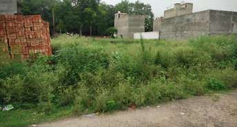  Plot For Resale in Gn Sector pi Greater Noida 5562162