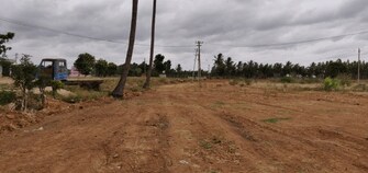 Commercial Land 17000 Sq.Ft. For Resale in Race Course Road Bangalore  5562203