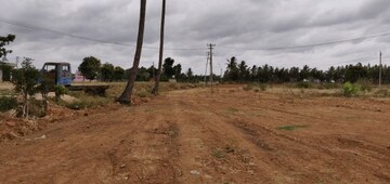 Commercial Land 17000 Sq.Ft. For Resale in Race Course Road Bangalore  5562203