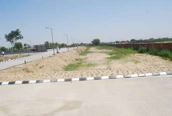  Plot For Resale in Sector 97 Faridabad 5562983