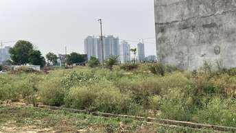  Plot For Resale in Noida Ext Sector 12 Greater Noida 5563162
