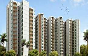 1 BHK Apartment For Resale in GLS Avenue 86 Sector 86 Gurgaon 5564612
