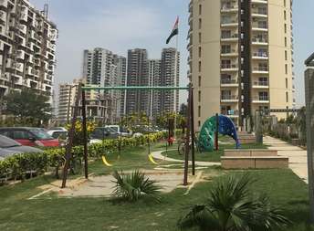 3 BHK Apartment For Resale in Corona Optus Sector 37c Gurgaon 5569199