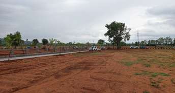  Plot For Resale in Amangal Hyderabad 5569636