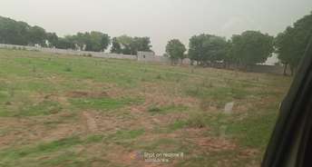  Plot For Resale in Sikri Faridabad 5572665