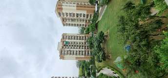3 BHK Apartment For Resale in Tulip Petals Sector 89 Gurgaon 5575099