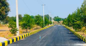  Plot For Resale in Srisailam Highway Hyderabad 5578829