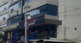 Commercial Shop 5500 Sq.Ft. For Resale In Puppalaguda Hyderabad 5580070