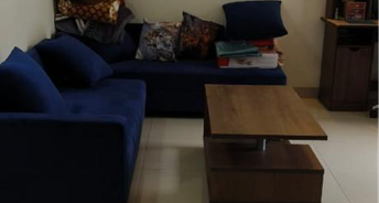 2 BHK Apartment For Rent in Emaar The Palm Drive Palm Studios Sector 66 Gurgaon 5580903