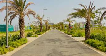  Plot For Resale in Omaxe City   Omaxe Heights Sector 97 Faridabad 5581690