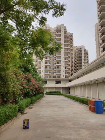2 BHK Apartment For Resale in Pivotal Paradise Sector 62 Gurgaon 5583646