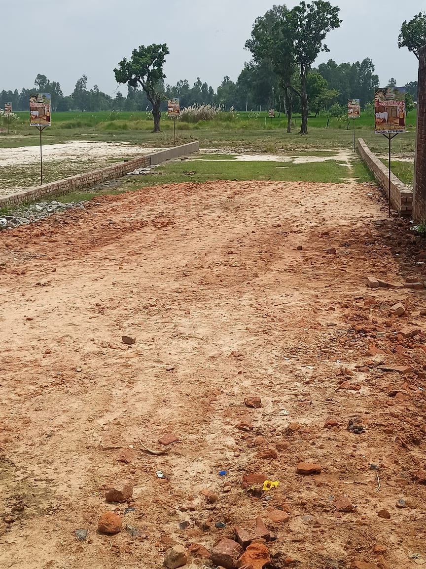 Resale 1500 Sq.Ft. Plot in Nagram Road Lucknow 5584067