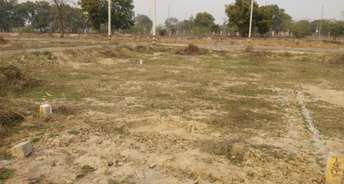  Plot For Resale in Sector 5 Gurgaon 5584705