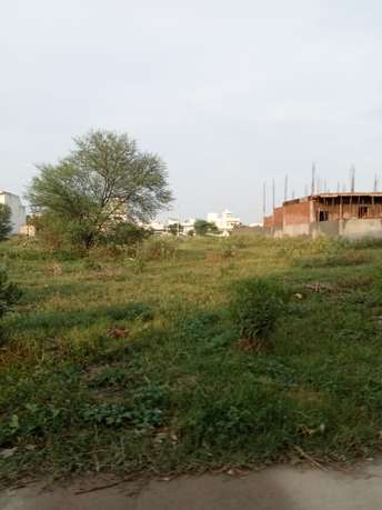  Plot For Resale in Sector 7 Sonipat 5584835