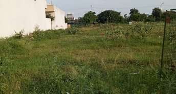  Plot For Resale in Sector 13 Sonipat 5584890