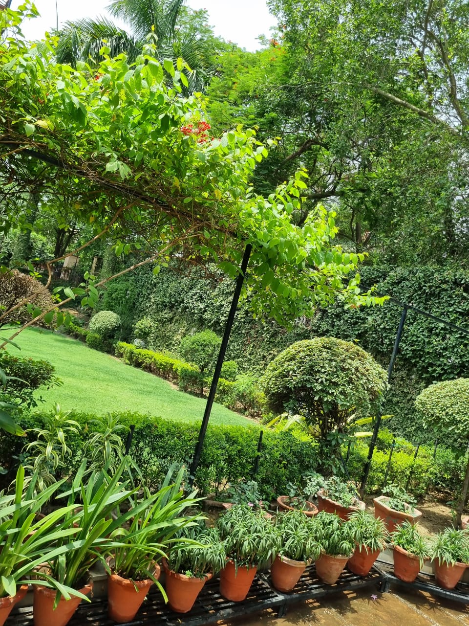 104+ Independent House near Eros Corporate Tower, Nehru Place Delhi for