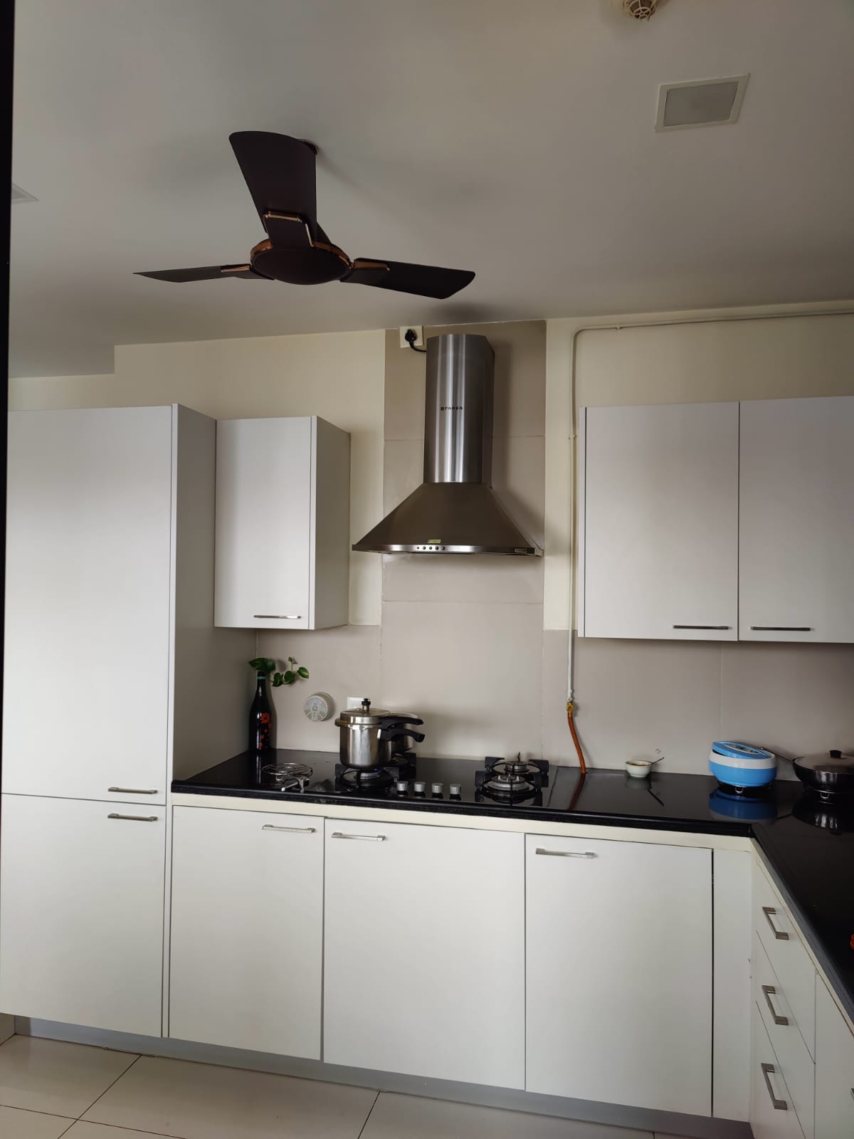 Rental 1 Bedroom 650 Sq.Ft. Apartment in Sudhir Mandke Affinity