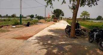  Plot For Resale in Gwalior Road Agra 5587339