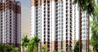 2 BHK Apartment For Resale in Nirala Greenshire Noida Ext Sector 2 Greater Noida 5589800